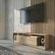 Тумба під ТВ з дверкою та полицями R-439 Дуб Сонома R-439 фото